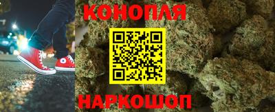 PSILOCYBIN Кулебаки