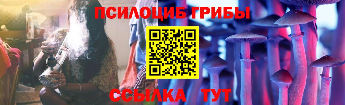 Псилоцибиновые грибы мицелий Сланцы