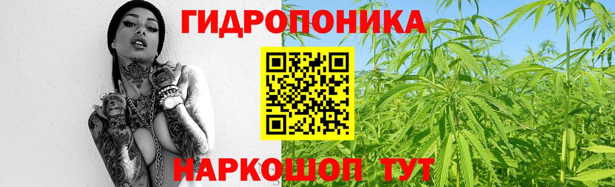 Марихуана Bruce Banner  Канабис сатива  Бошки Шишки сатива  Вход с VPN  Сланцы 